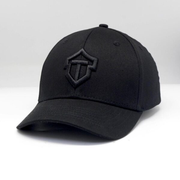 Flex Black Fitted Cap with black logo